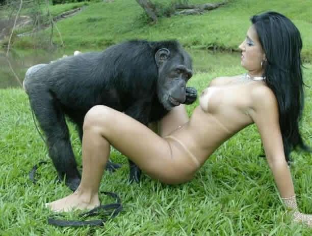 sex with a chimpanzee is a new sexual experience