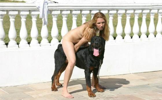 skjl dog and horse fucking with girl photo porn images 3