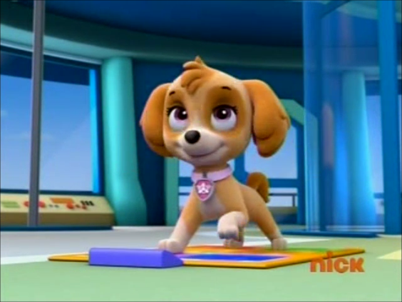 skye from paw patrol favorite cartoon dogs and cats pinterest 2