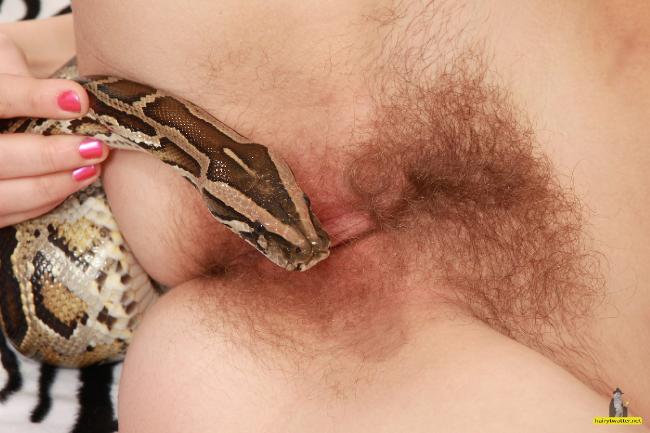snake in her pussy