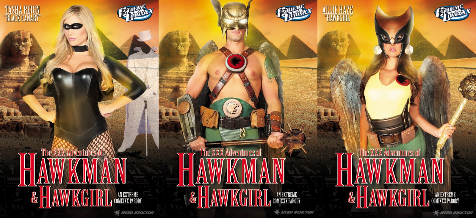 the adventures of hawkman and hawkgirl an extreme comixxx