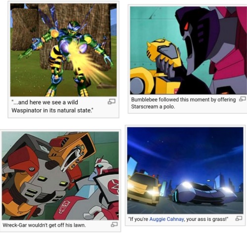 transformers animated waspinator tumblr