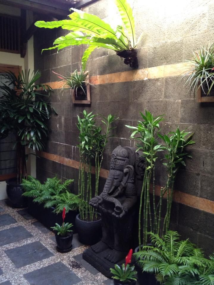 tropical courtyard indonesia green terrace pinterest