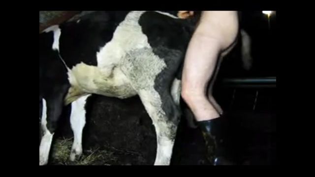 videos tagged with cow pornscum free porn tube videos xxx 8