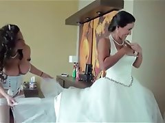 wedding orange porn videos free sex tube movies