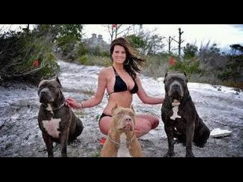 Women sex with dog