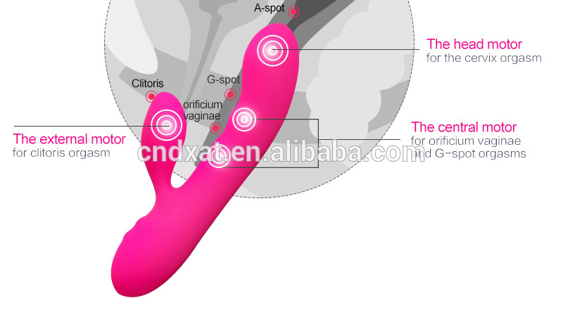 Anal Dildo Diagram - stock photo pink butt anal plug sex toys on fuchsia background banner  adults poster sign for sex toys - MegaPornX