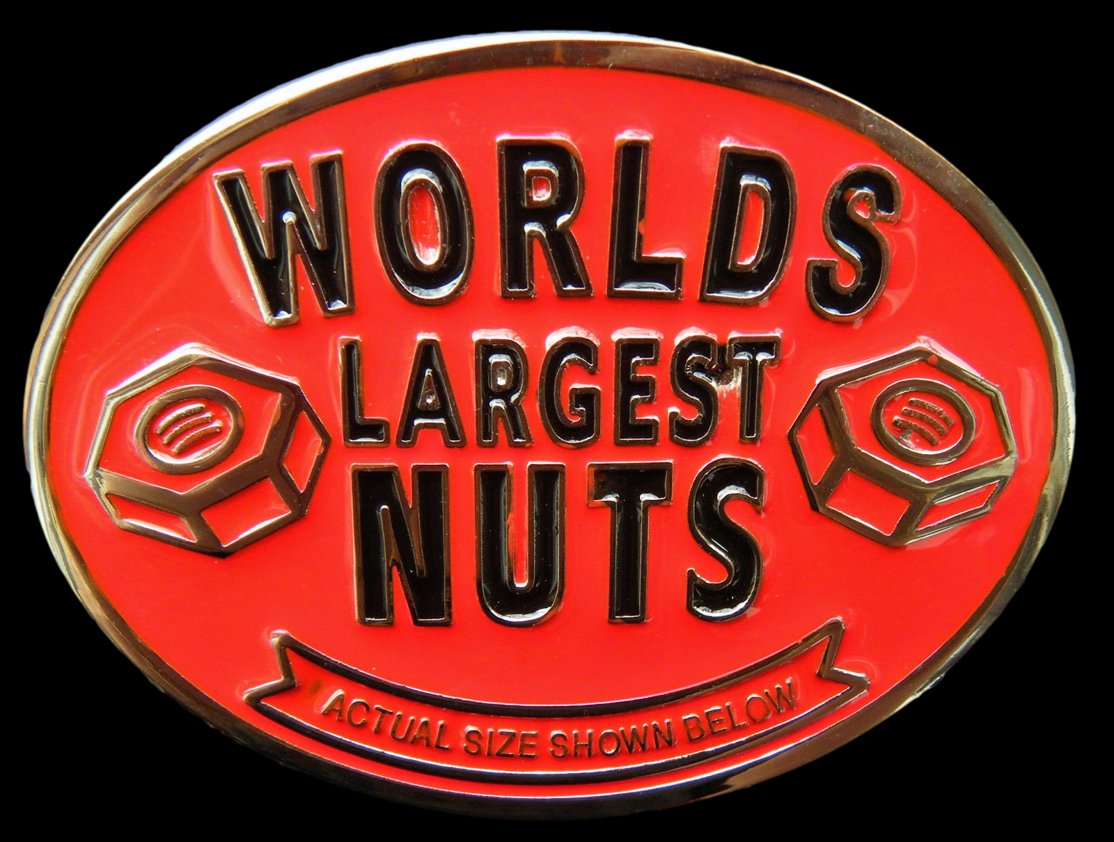 worlds largest nuts actual size below funny joke red belt buckle belts buckles