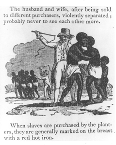 years a slave only serves to perpetuate the subliminal alienation and the continued of black peoples humanity