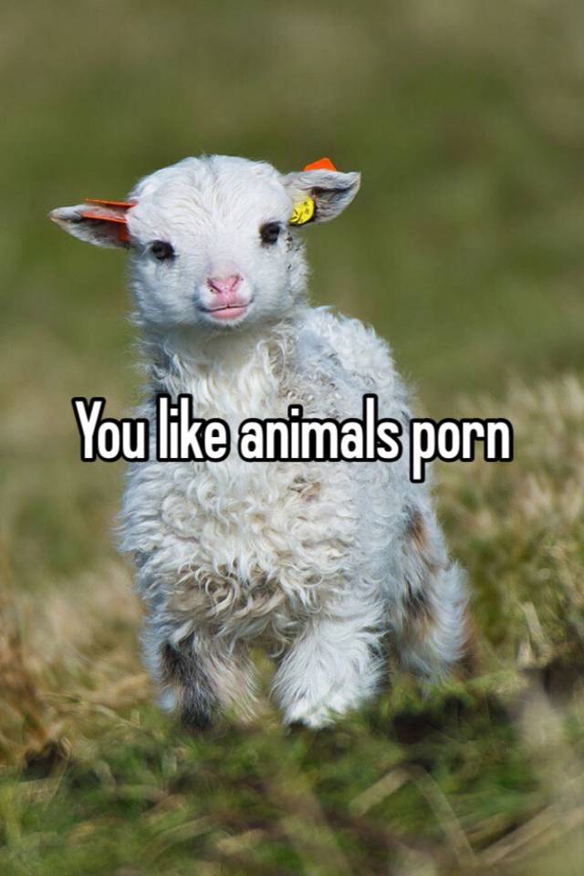 you like animals porn